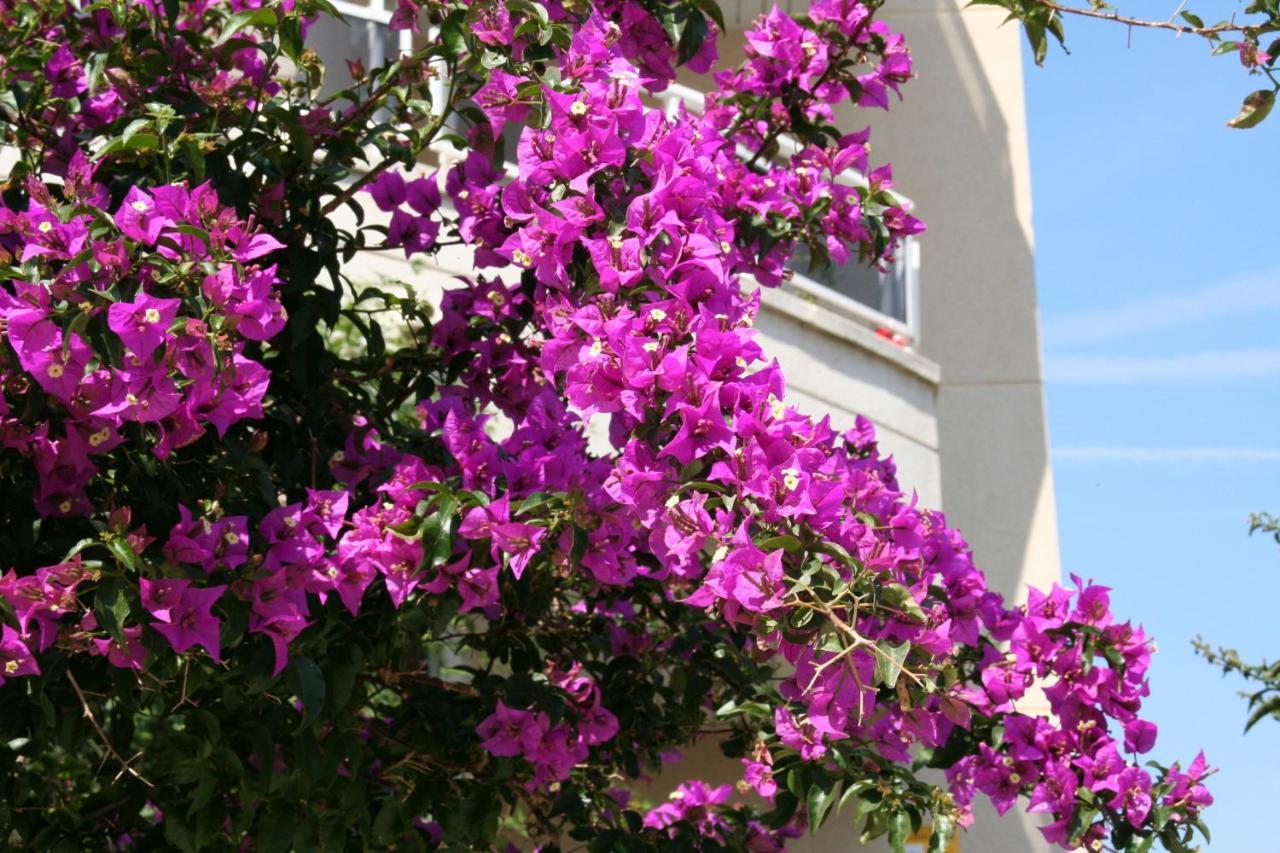 R142 Manila Resort Central Calafell Exteriör bild